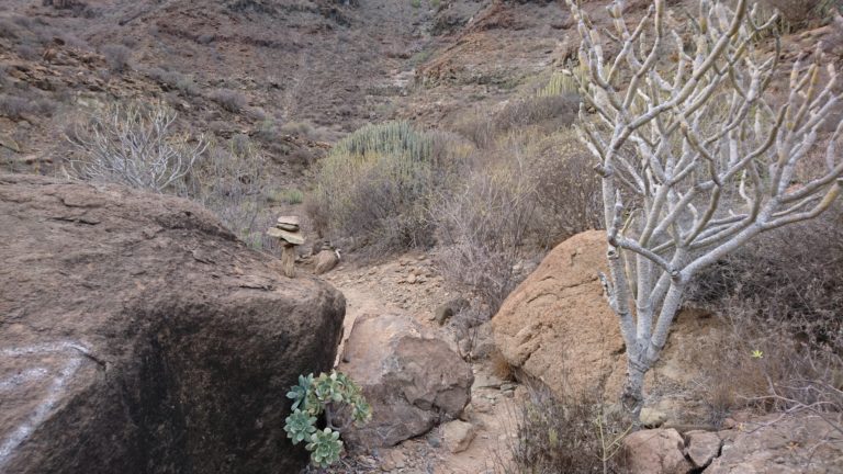 Wegmarkierung im Barranco de Tauro