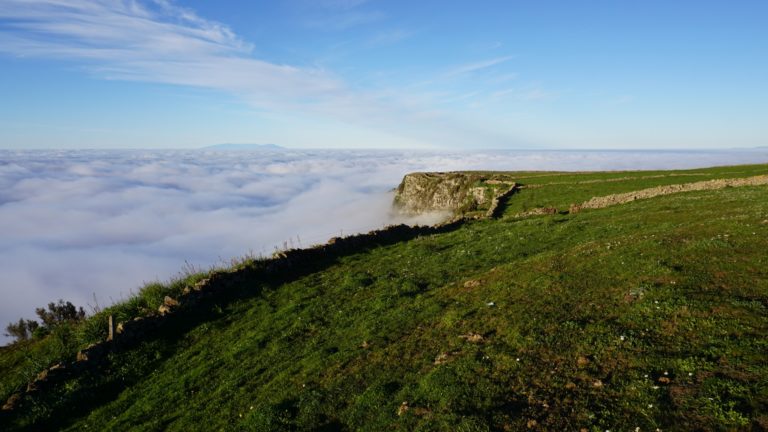 Rückblick