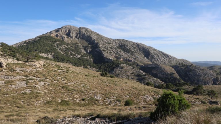 n der weglosen Querung zum Camí des Sínies