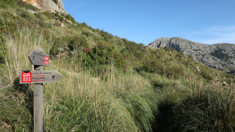 Endlich wieder am Wanderweg nach einem Kampf durch die Grashorste