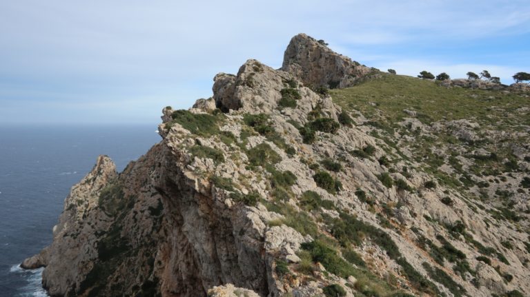 Am Coll de l'Home