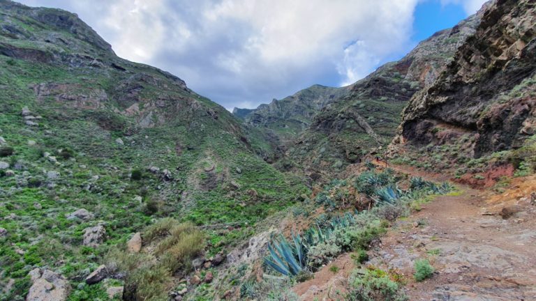 Camino de Roque Bermejo