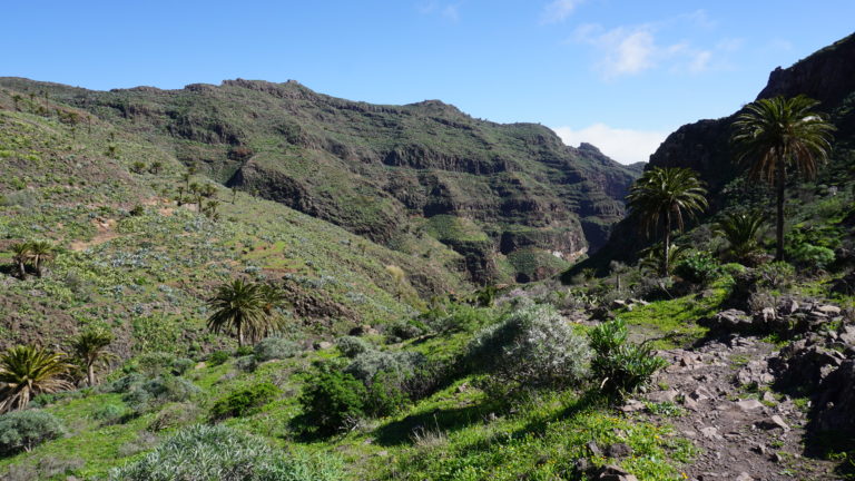 Im Barranco Guarimiar