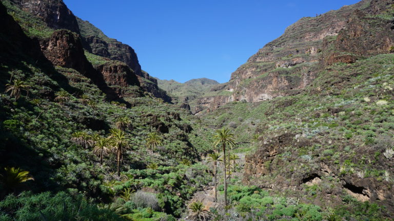 Am unteren Ende des Barranco Guarimiar angekommen.