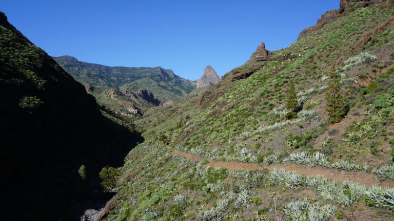 Weg in den Barranco Benchijigua