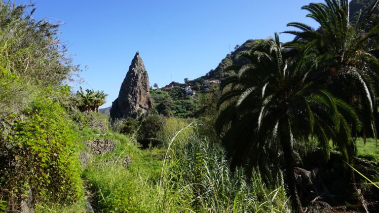Roque San Pedro