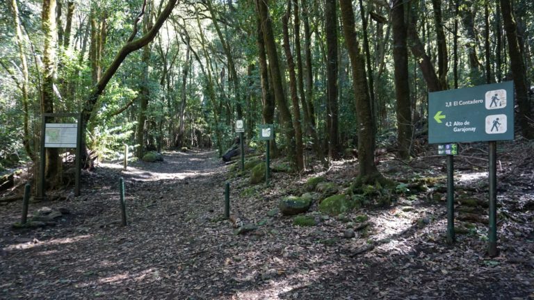 Wanderweg nach El Contadero