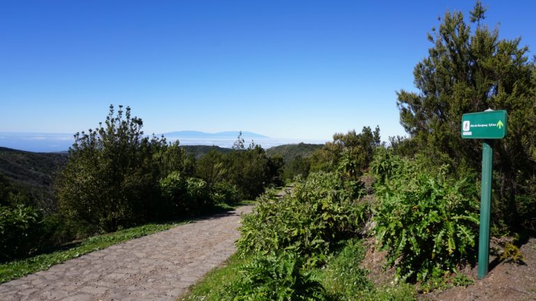 Von El Contadero führt ein befestigter Weg zum Alto de Garajonay.