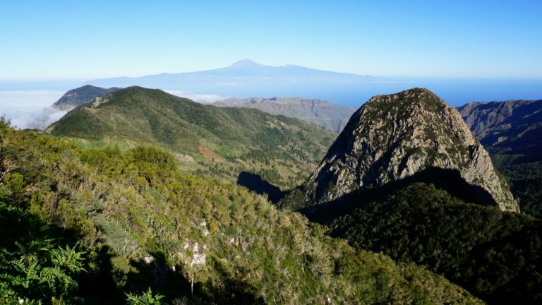 Roque de Ojila