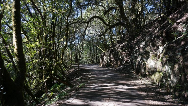 Weg Richtung Aula de la Naturaleza
