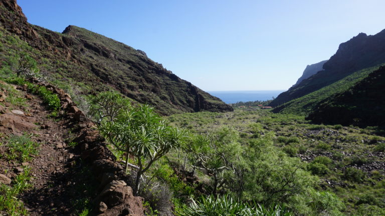 Weg vom Barranco Juan de Vera zum Barranco de la Guancha
