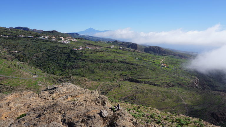 Ausblick auf grüne Felder