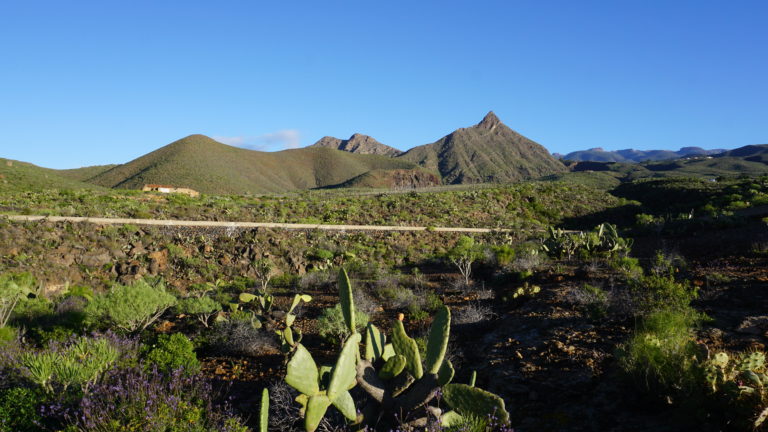 Blick zum zackigen Roque Imoque