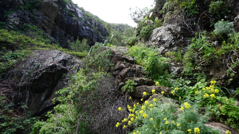 Steig durch den Barranco de Palos Hincados