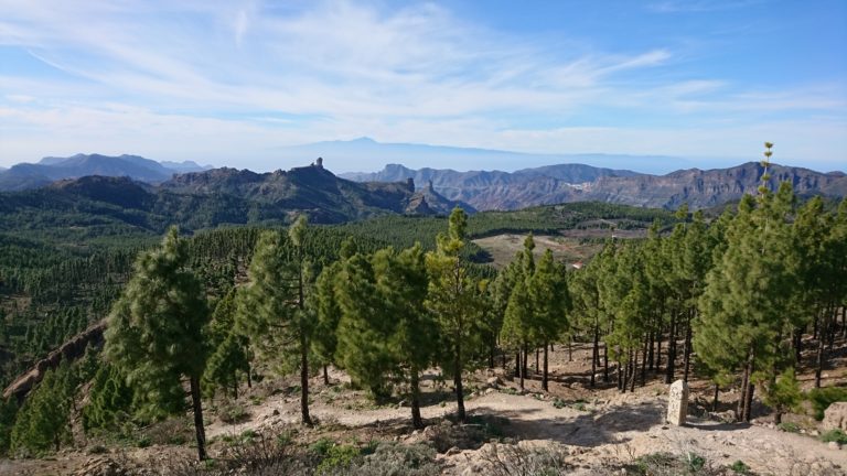 Blick vom Pico de las Nieves zum Roque Nublo