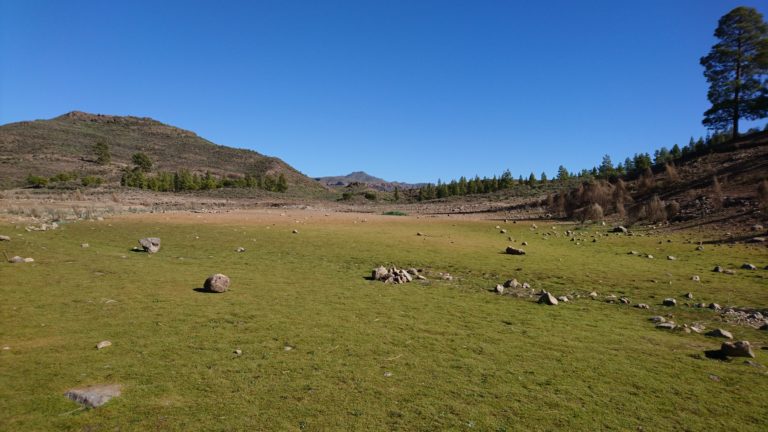 Grüne Wiese an der Embalse de la Cueva de las Niñas