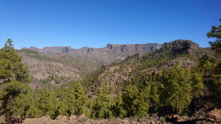 Blick zum Roque Nublo
