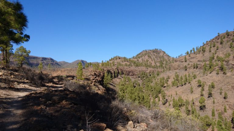 Rückblick auf den Moñtana del Pino de Eugenio