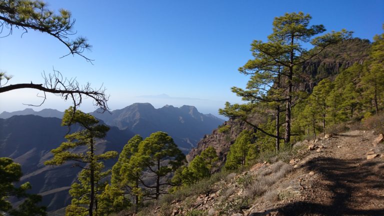 Höhenweg Montaña de Ojeda - Pie de la Questa