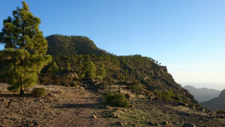 Rückblick zum Gipfel Inagua beim Abstieg zum Montaña del Viso