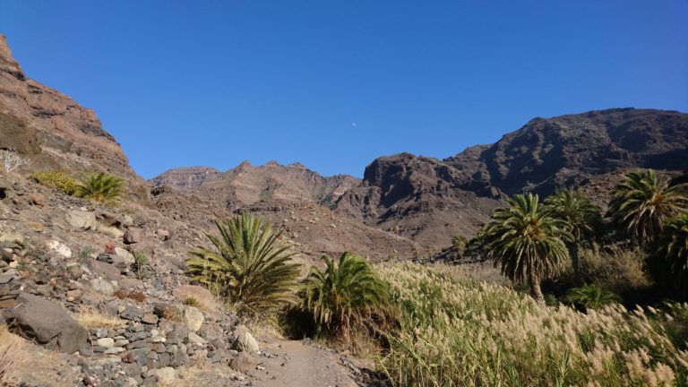 Zurück durch den Barranco Güigüi Grande