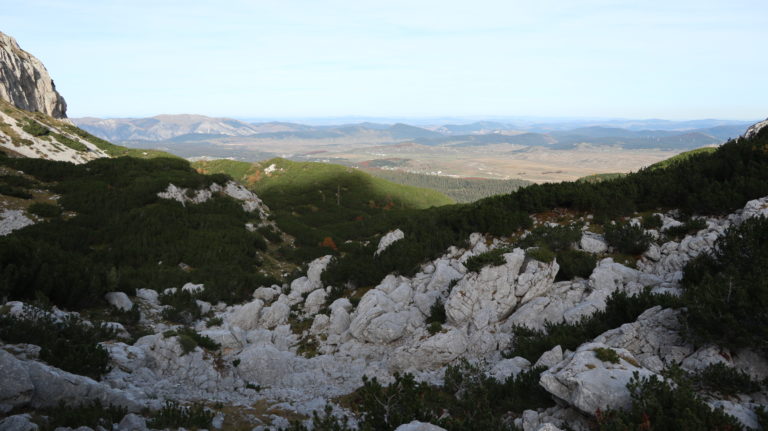 Blick auf die Hochebene von Žabljak