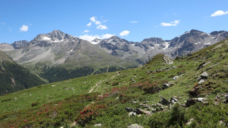 Schöner Ausblick oberhalb des Langensteinlifts