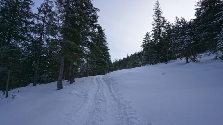 Abzweig vor der Esterbergalm
