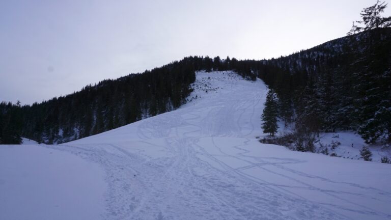 Tolle Abfahrt über die ehemalige Skipiste zur Esterbergalm