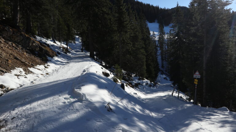 Abzweig Mooslahnerlam/Moosenalm