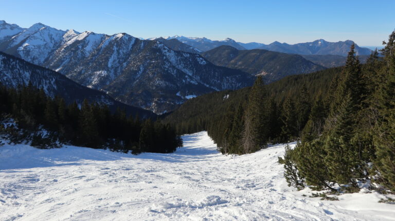 Abfahrt durch die Waldschneise