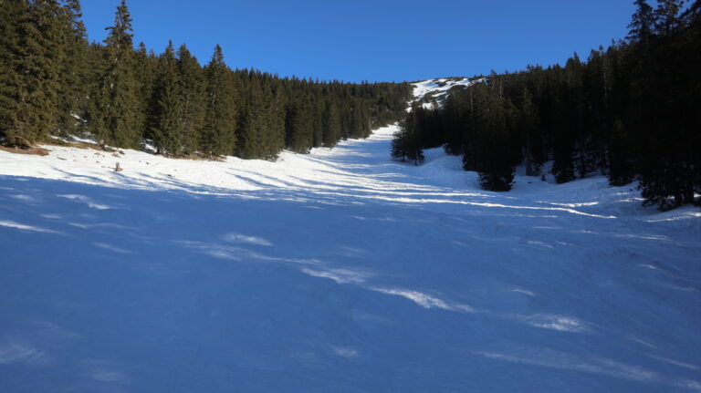 Aufstieg in der breiten Waldschneise