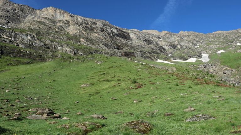 Den Wiesenhang mit Alpenrosen geht's zu den Felsen hoch.
