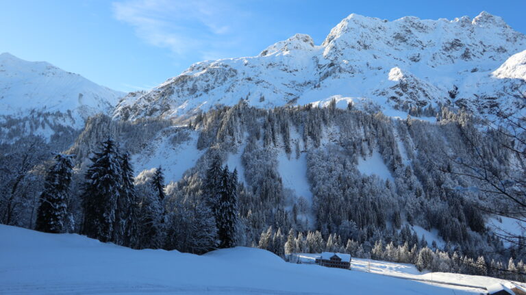 Am Waldrand oberhalb des Landhauses Bad Hopfreben