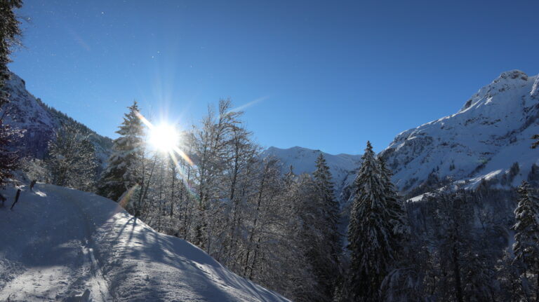 Aufstieg im frisch verscheiten Wald