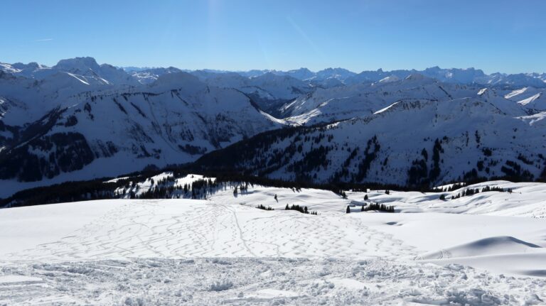 Tolle Abfahrt