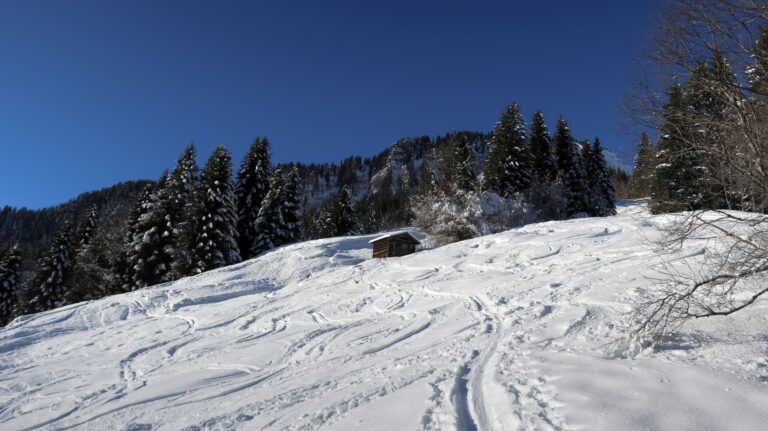 Aufstieg im Auer Ried