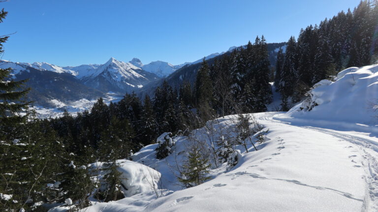 Auf der Strasse zum Gasthof Edelweiss