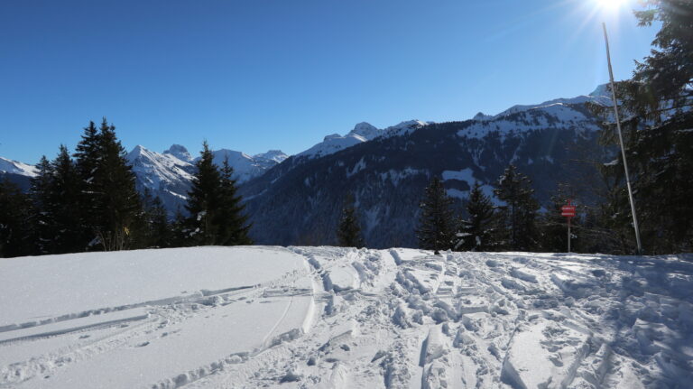 Abzweig der Skiroute unterhalb der Edelweisshütte. Der Alpweg ist mehr zu empfehlen.