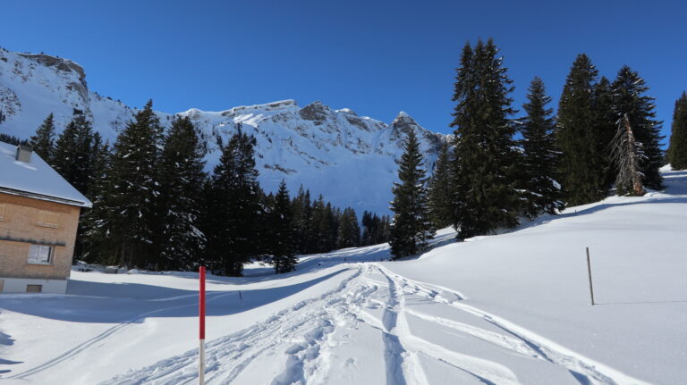 Weiterweg von der Edelweisshütte