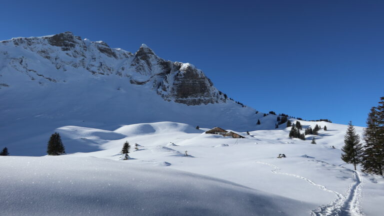 Obere Alpe unterhalb der Klippern