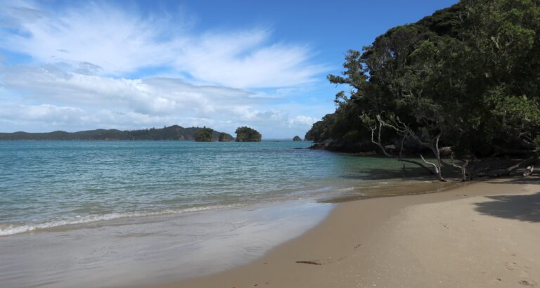 Paradise Bay