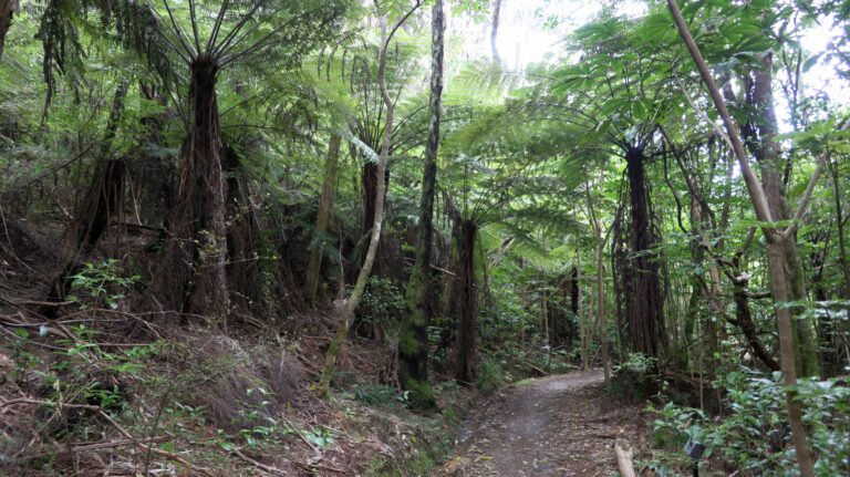 Jim's Walkway