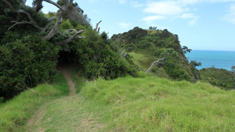Tapeka Track