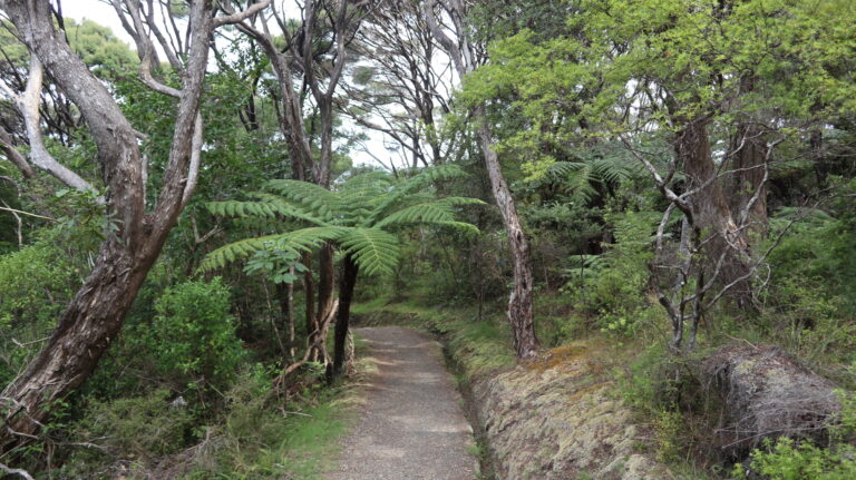 Pfad nach dem Titore Way