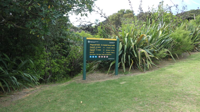 Verzweigung der Flagstaff Hill Loop