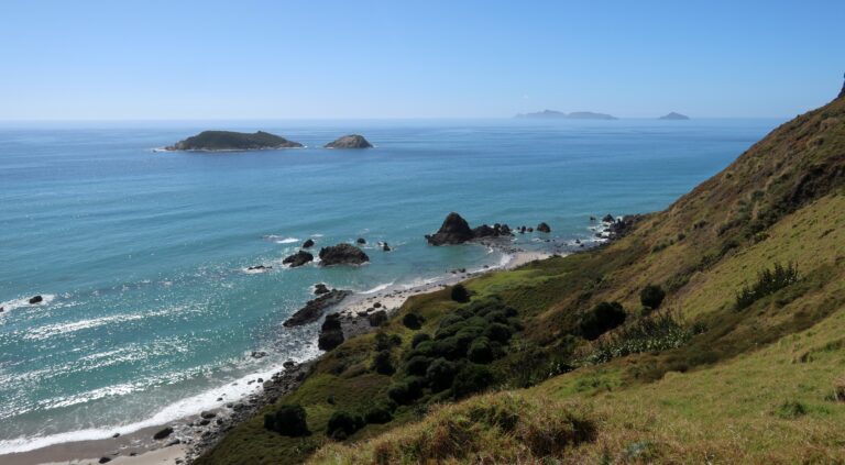 Wilde Küste am Bream Head