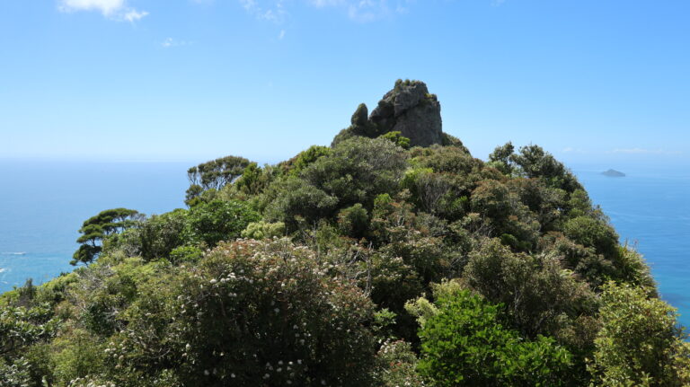 Blick zum höheren Te Whara / Bream Head