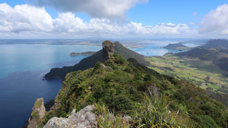 Ausblick vom Te Whara / Bream Head