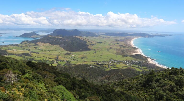 Ausblick zum Ocean Beach und Mount Manaia